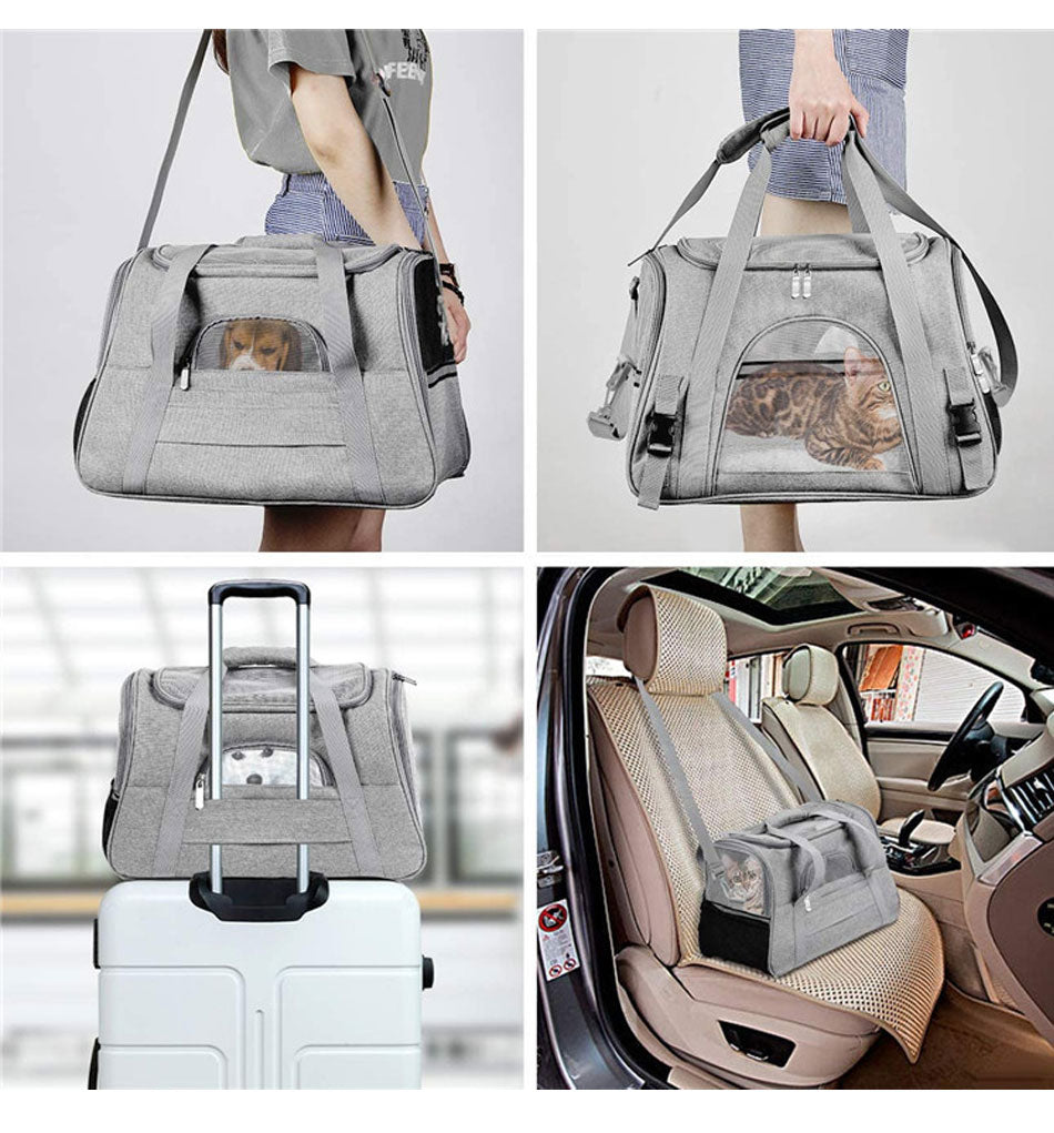 Pet Carrier Backpack — Breathable Mesh