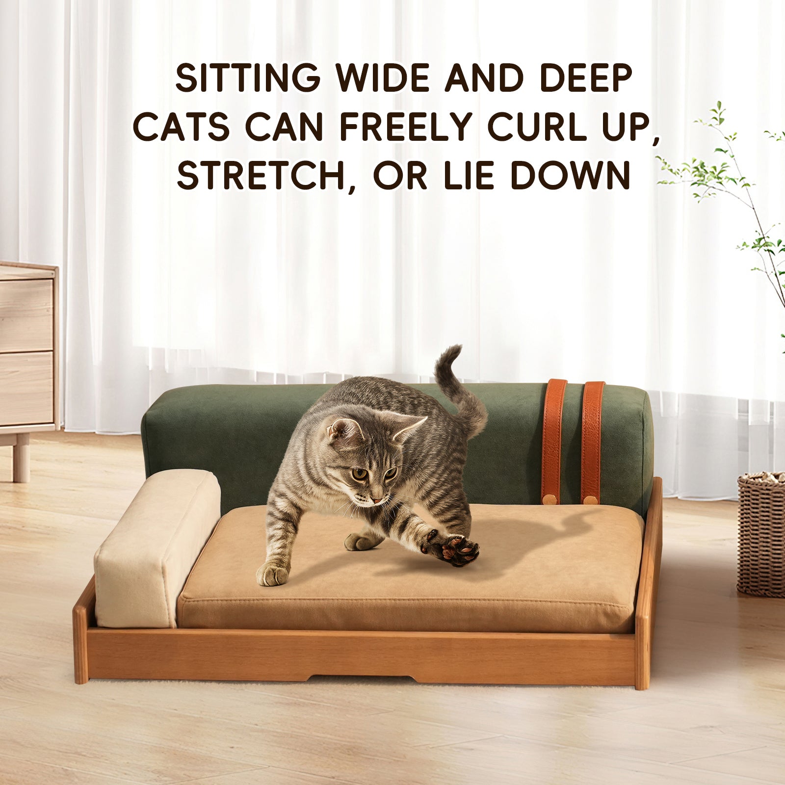 Oak Veneer Pet Bed — Modern