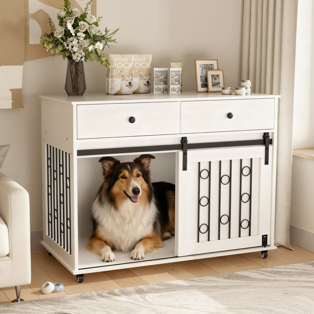 Dog Crate — Sliding Barn Door