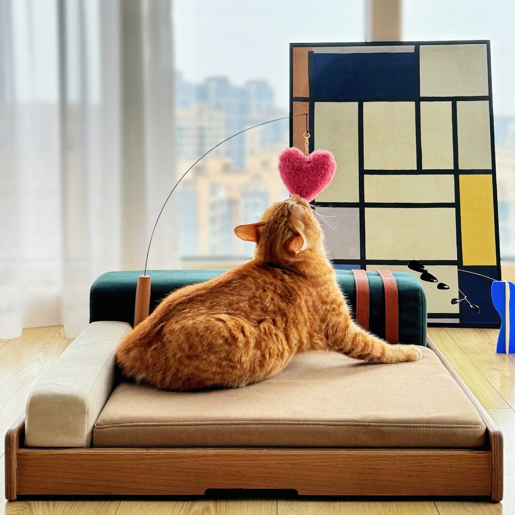 Oak Veneer Pet Bed — Modern