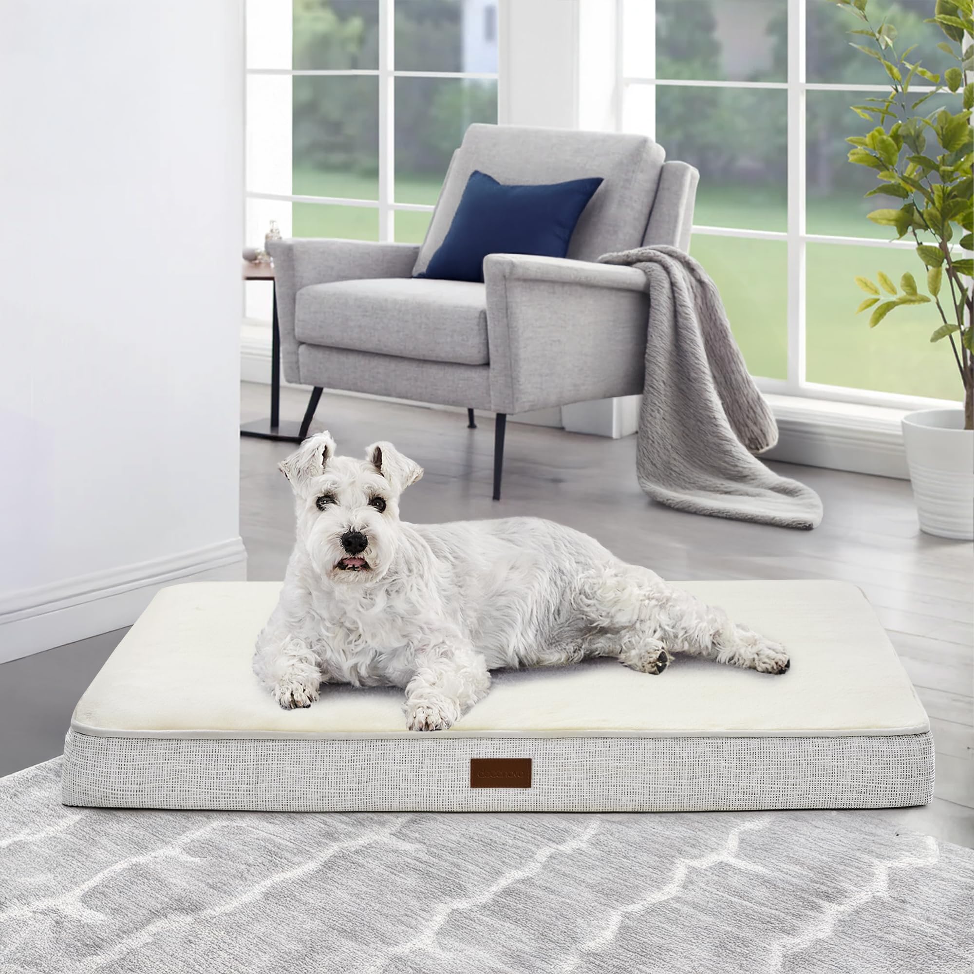 Orthopedic Dog Bed — Non-Slip
