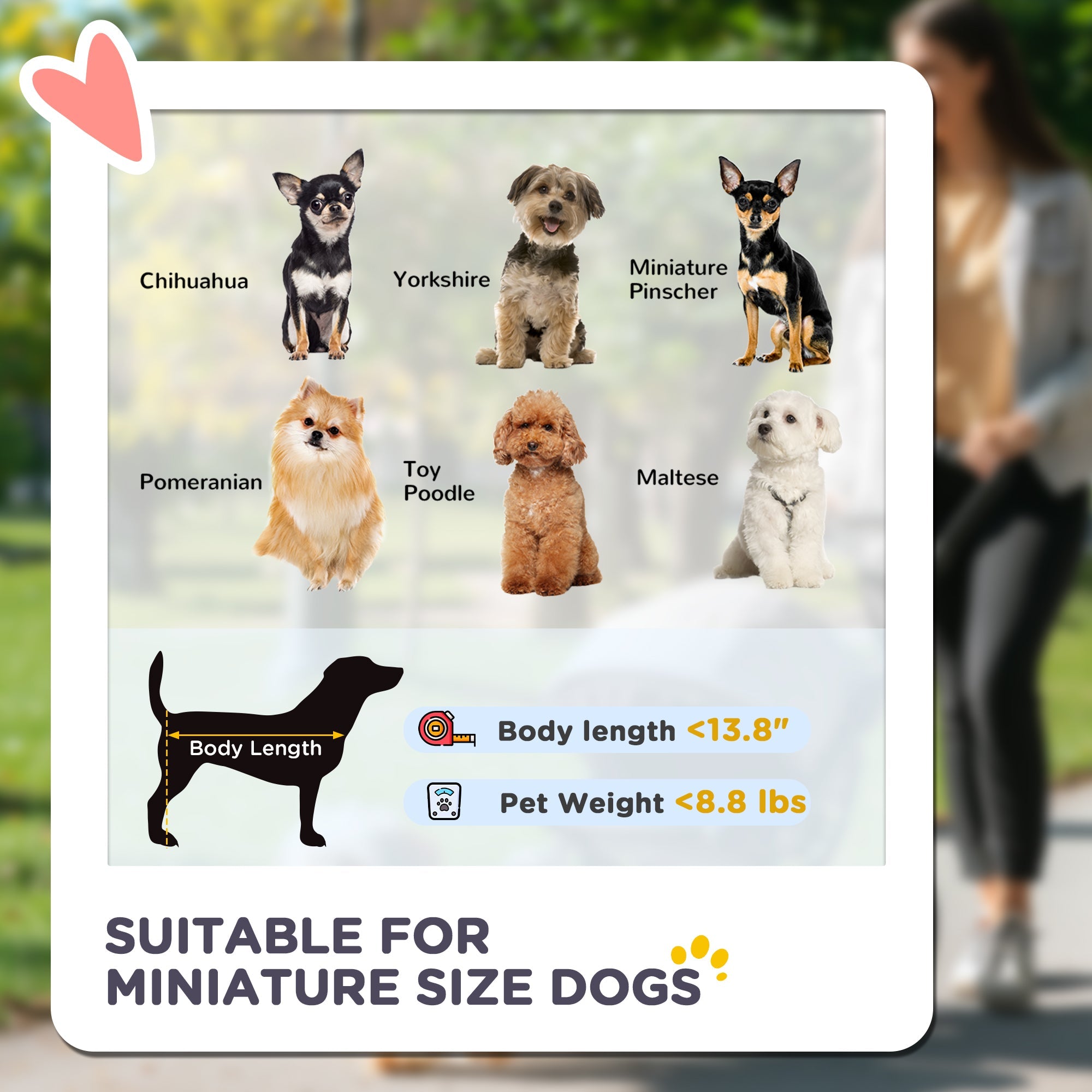 3-in-1 Foldable Pet Stroller — Small Dogs