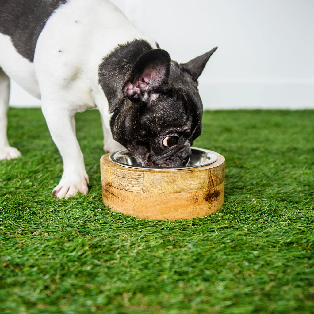 Mango Wood Pet Bowl — Single