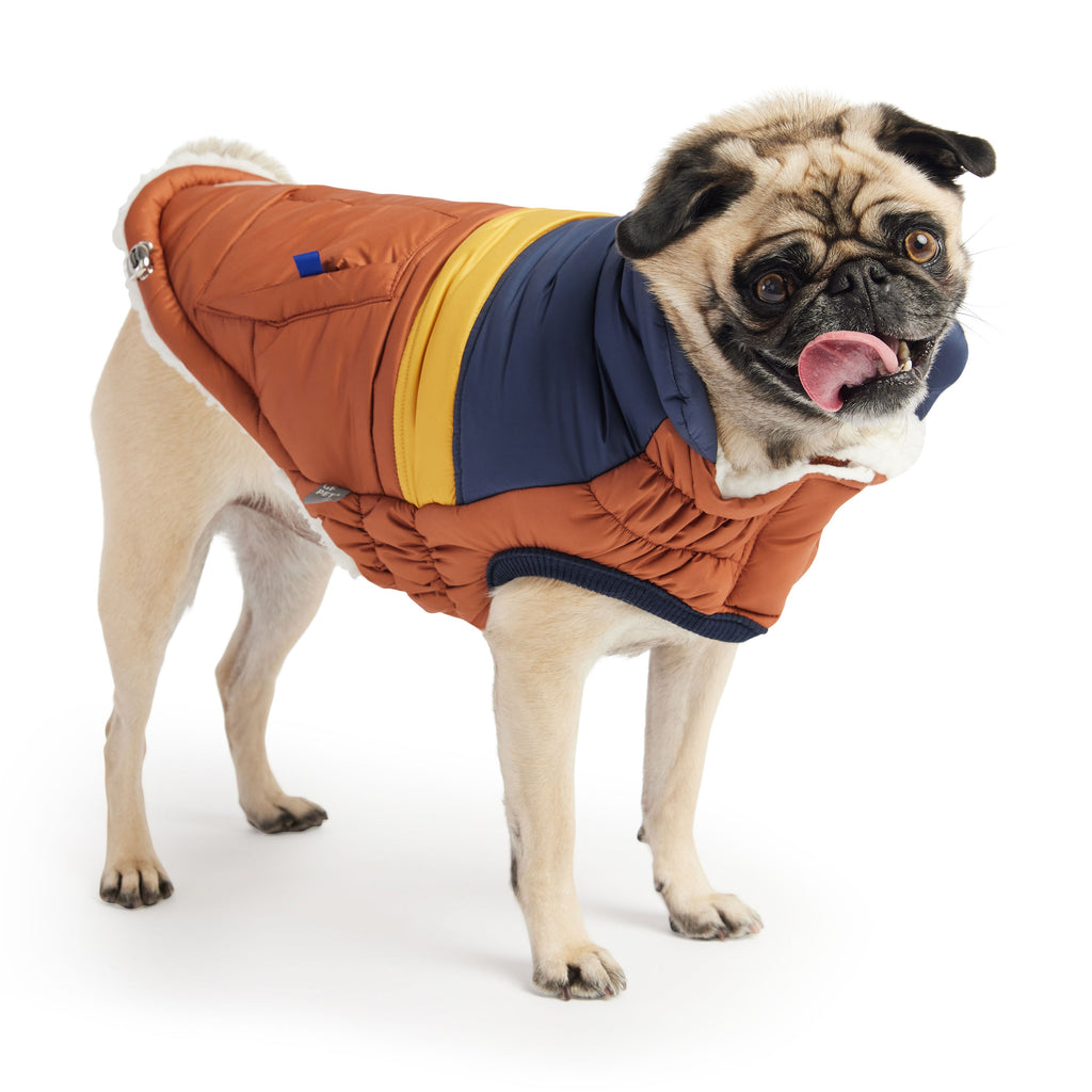 Retro Puffer Jacket — Dog Apparel
