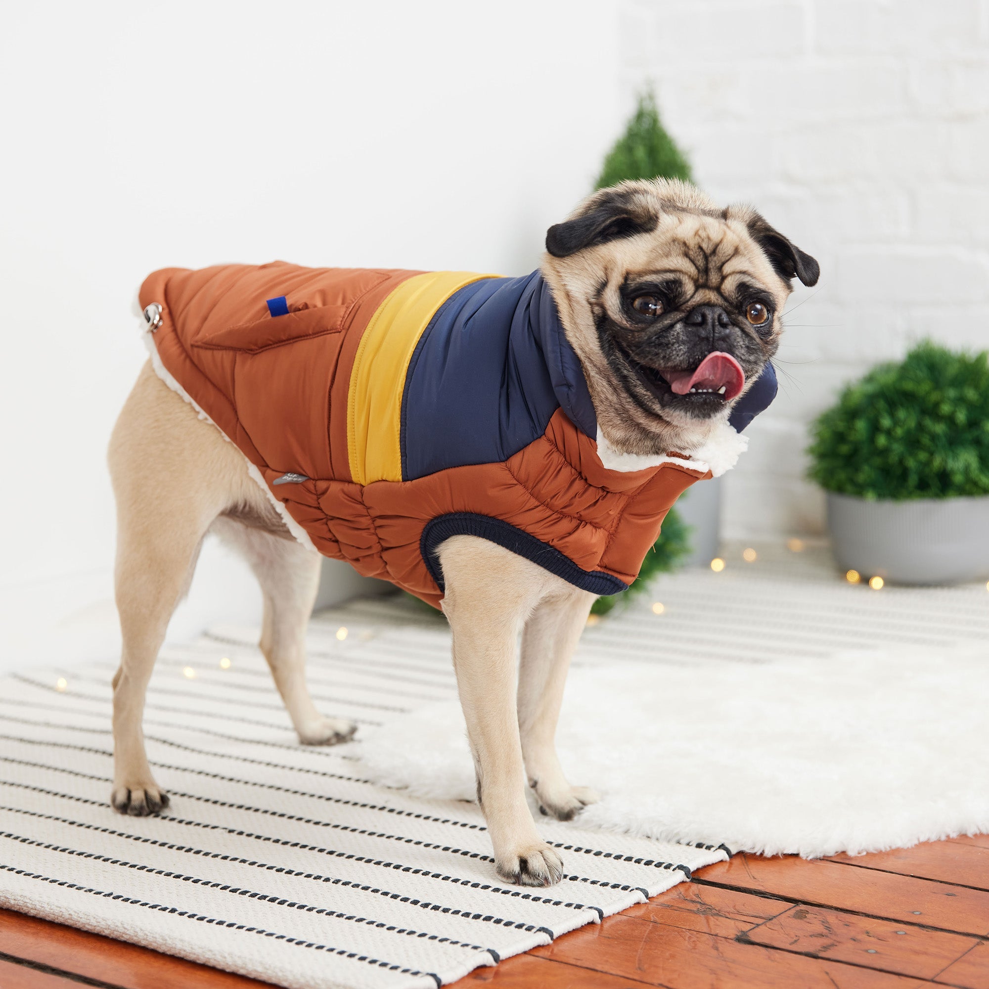 Retro Puffer Jacket — Dog Apparel