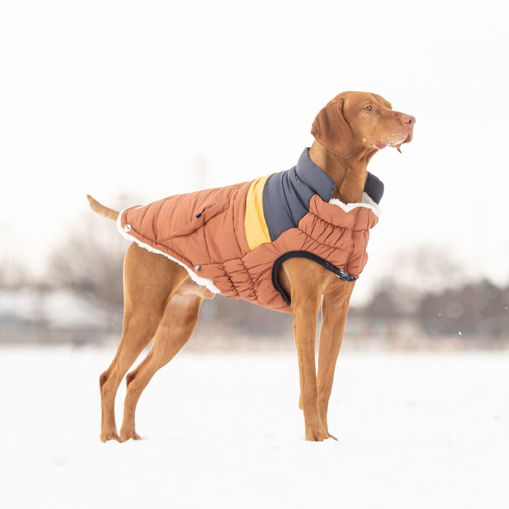 Retro Puffer Jacket — Dog Apparel