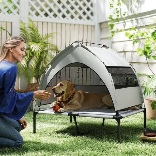 Elevated Dog Bed — Portable Canopy