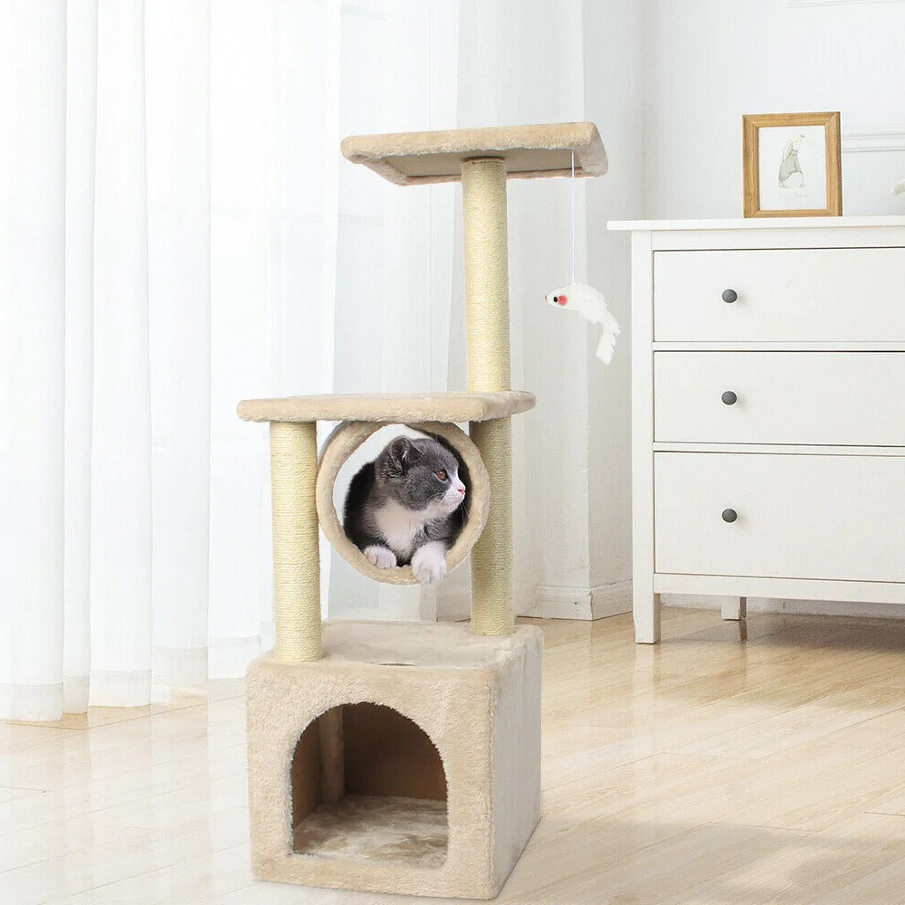 Cat Climbing Tower