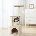 Cat Climbing Tower