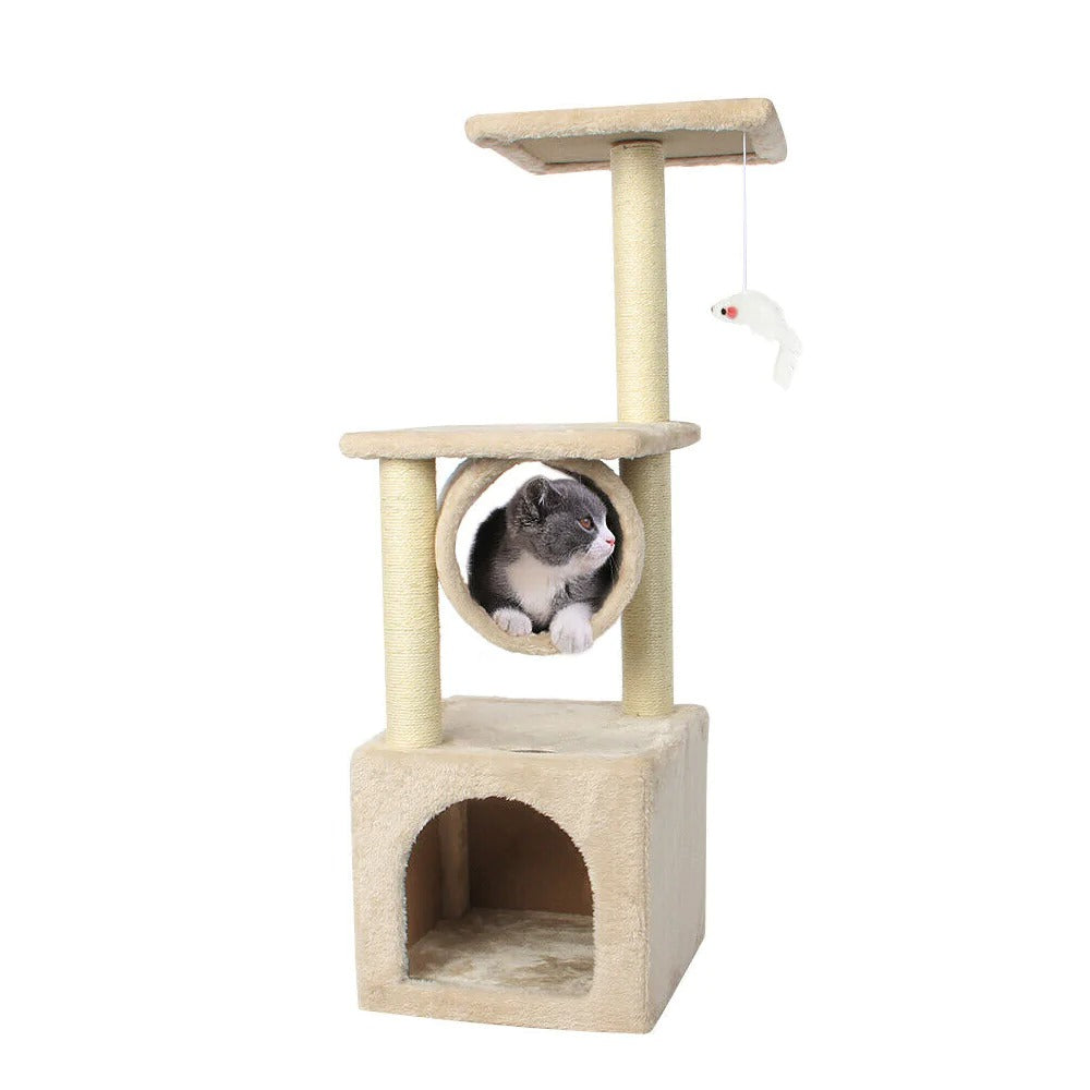 Cat Climbing Tower